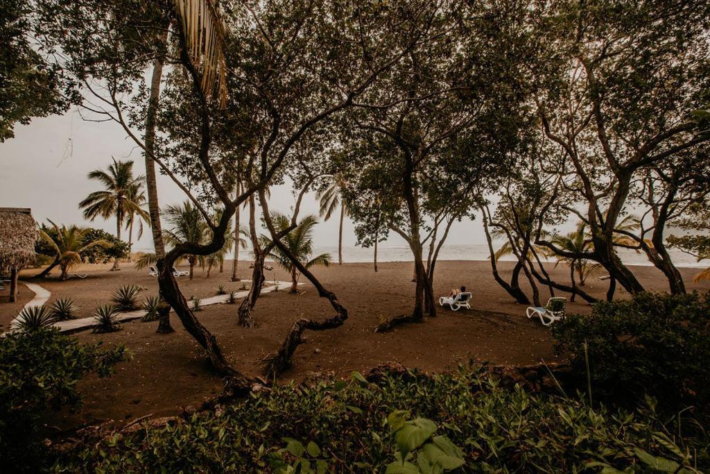 Sansara Surf Yoga & Resort Камбутал Екстериор снимка