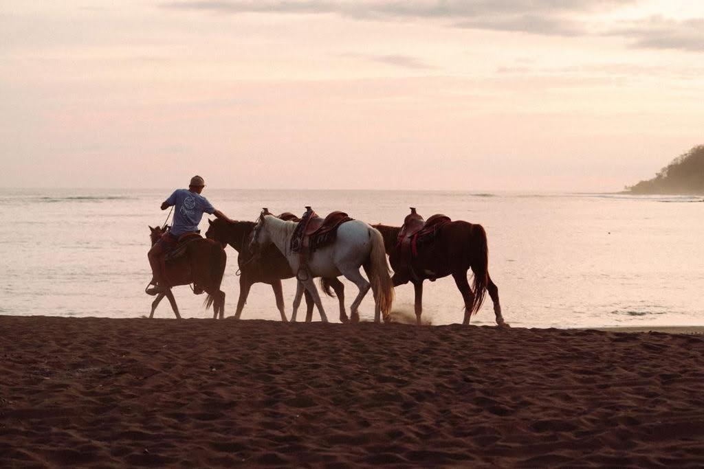 Sansara Surf Yoga & Resort Камбутал Екстериор снимка